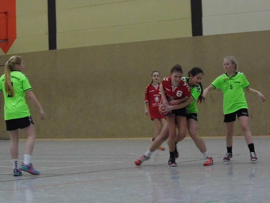 Handball Detmold 1 - wD1 HSG Blomberg-Lippe