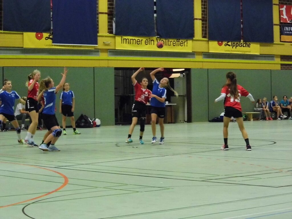 wD1 HSG Blomberg-Lippe - Handball Lemgo